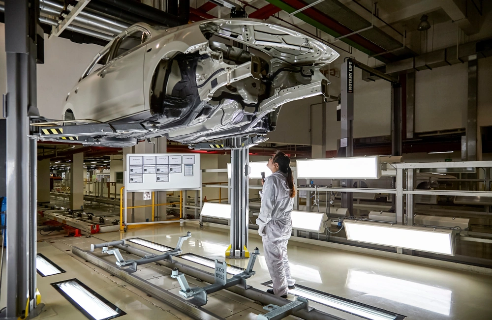 Ce sunt lonjeroanele